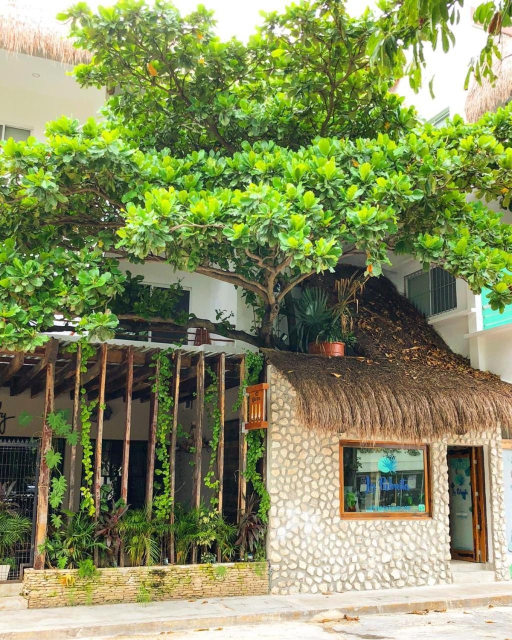 טולום Hotel La Palmita By Mij מראה חיצוני תמונה